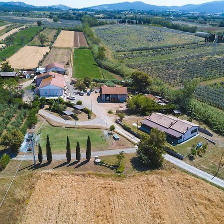 Agriturismo Ferri Bibbona Buitenkant foto