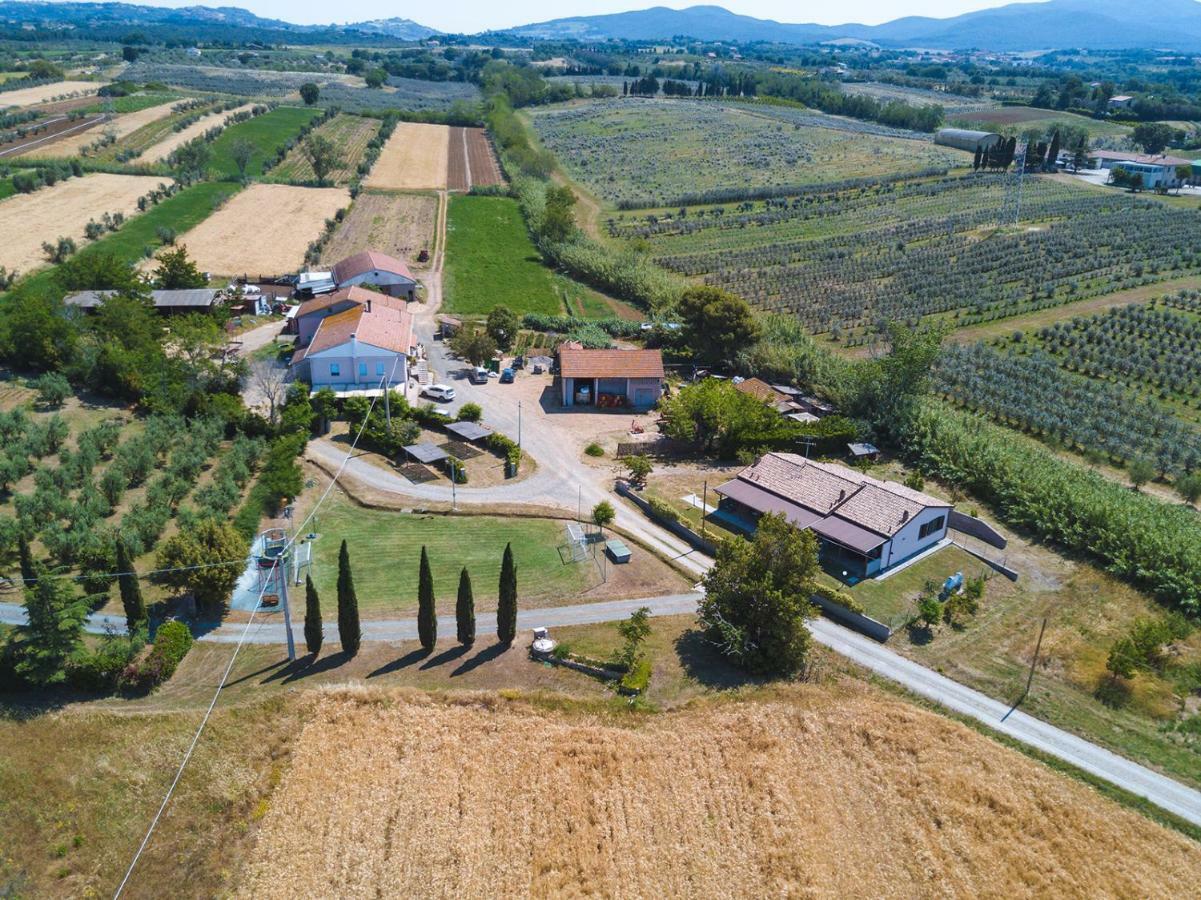 Agriturismo Ferri Bibbona Buitenkant foto